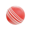 Cricket Ball icon